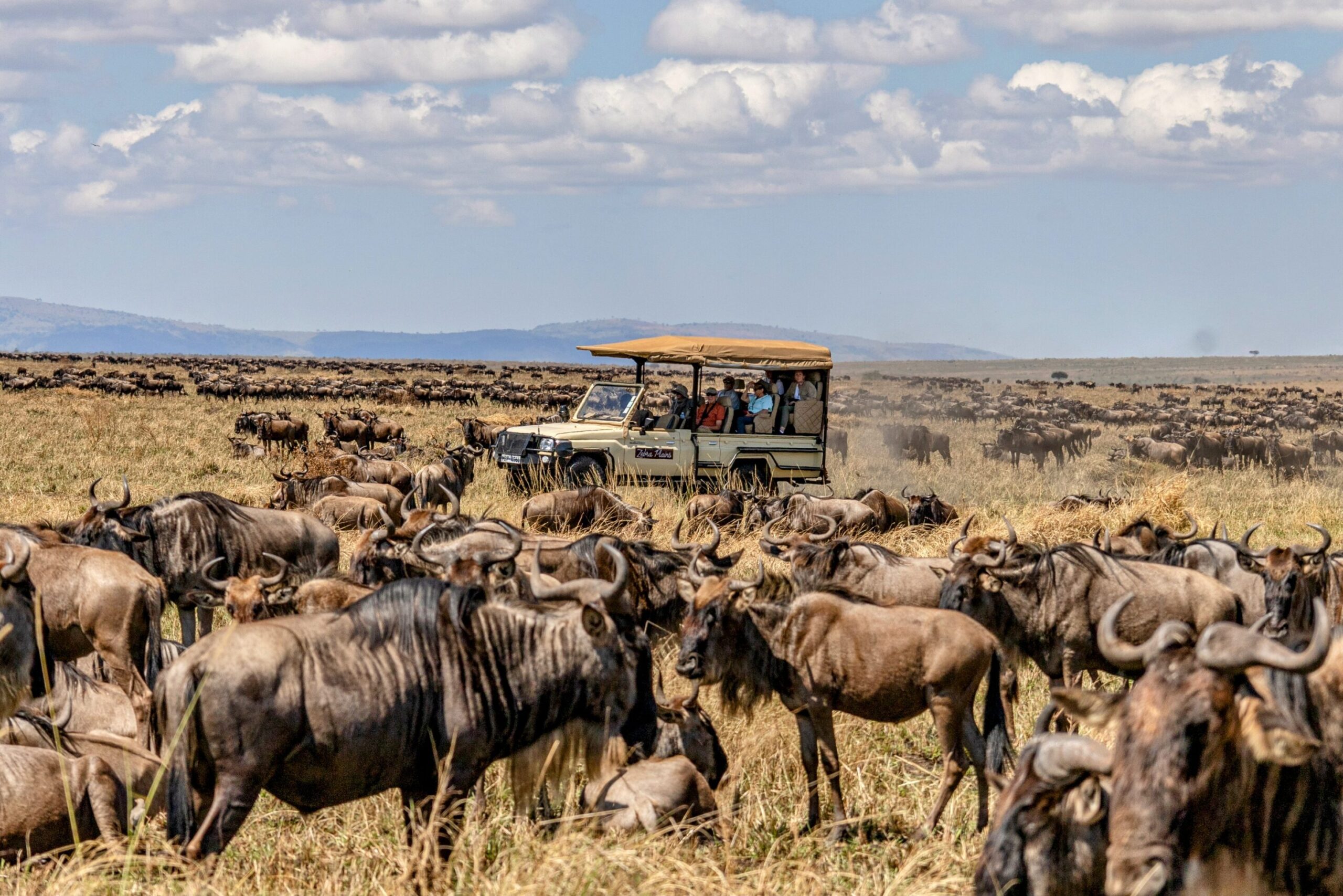 3-Day Masai Mara Great Migration & Big 5 Safari Tour