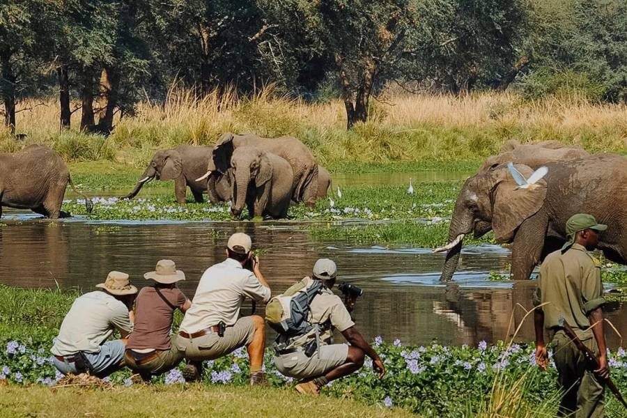 3-Day Amboseli Elephant Encounters Midrange Safari Itinerary
