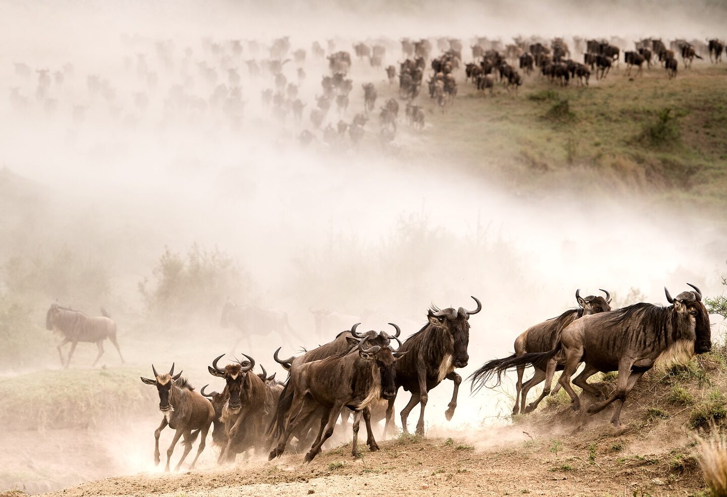 3-Day Masai Mara Great Migration & Big 5 Budget Safari