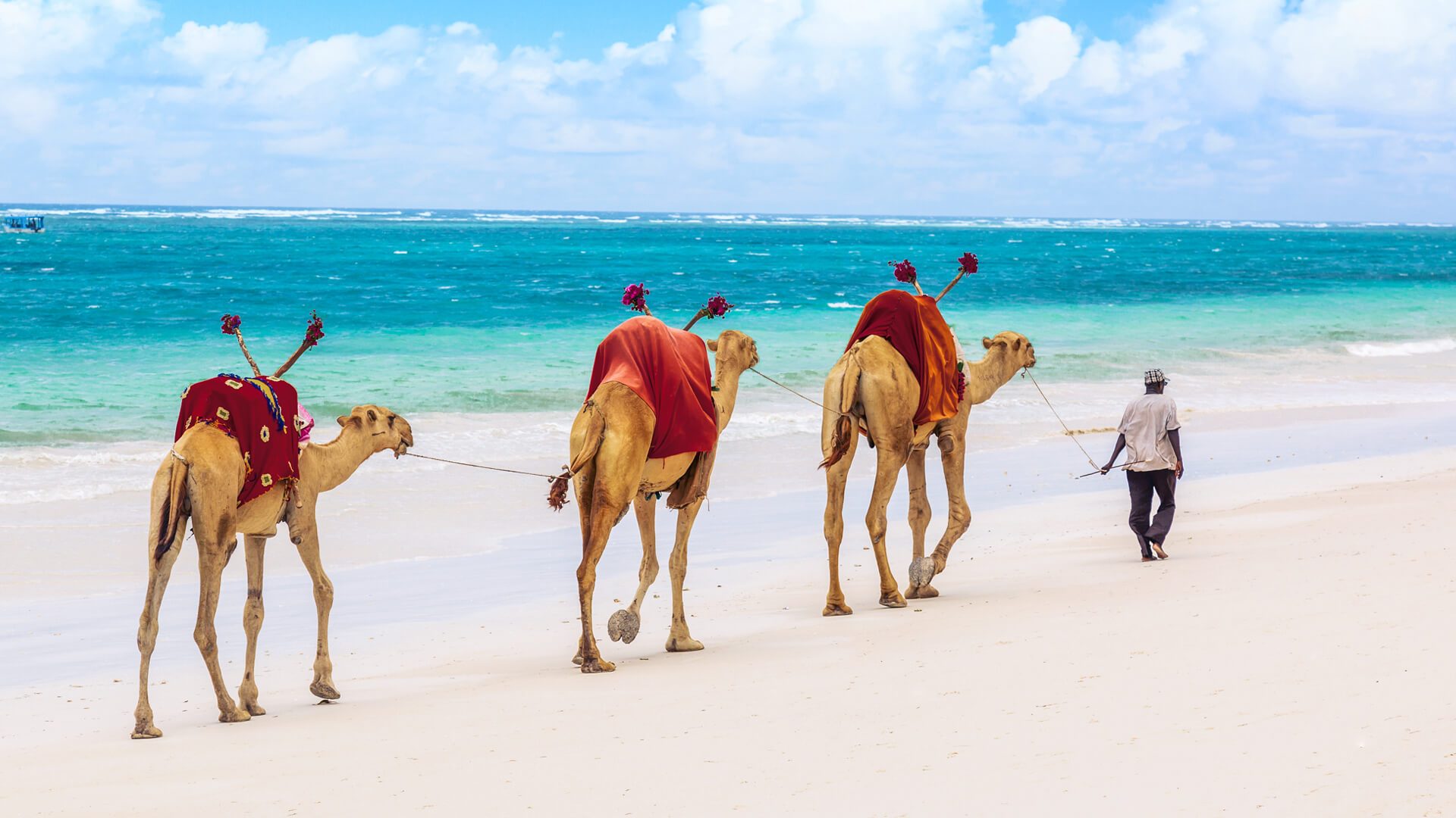 11-Day Big 5 & Coastal Escape Safari Masai Mara, Amboseli & Diani Beach